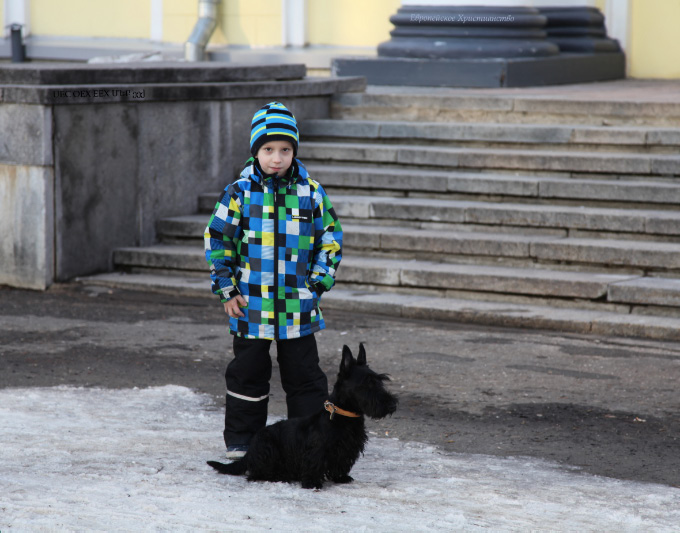 boy and his schnauzer friend